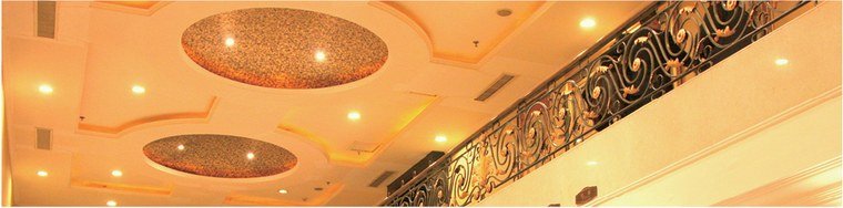 COB Reflector Downlight