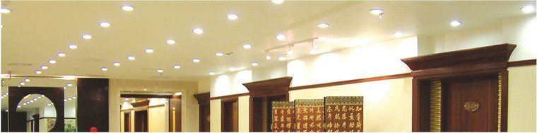 Slim Recessed Downlight