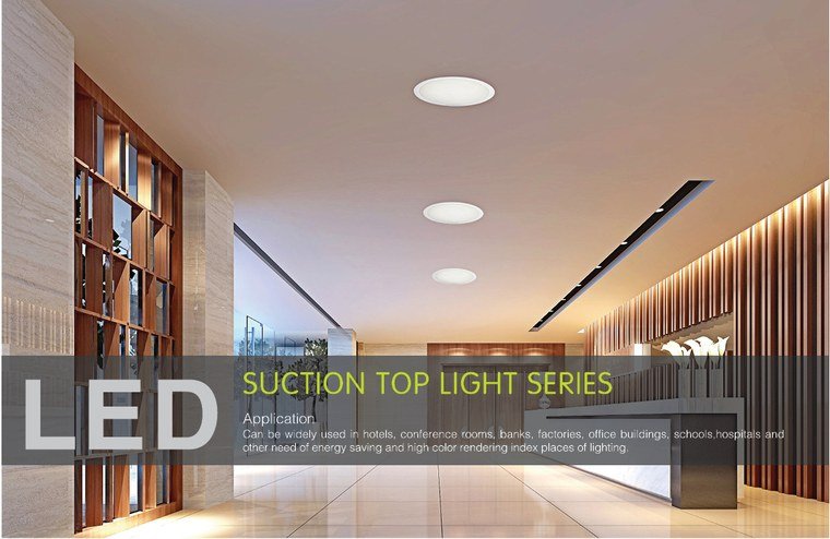 Acrylic Ceiling Fitting