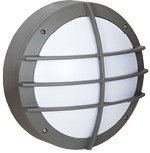 IDO-1701